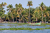 Kerala backwaters, our three hours neighborhood tour in the narrow canoe towards Vembanad Lake and along one of the  narrow canal running near our guest house at Kumarakom. 